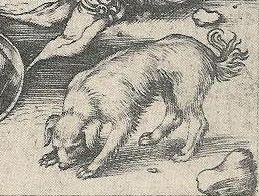 Schongauer’s Adoration of the Magi - Image Gallery
