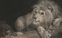 Stubbs’ A Lion (1788)