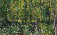 Van Gogh’s Trees and Undergrowth (1887)