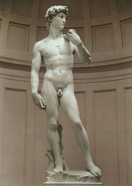 Michelangelo’s David (1501-04) - Image Gallery