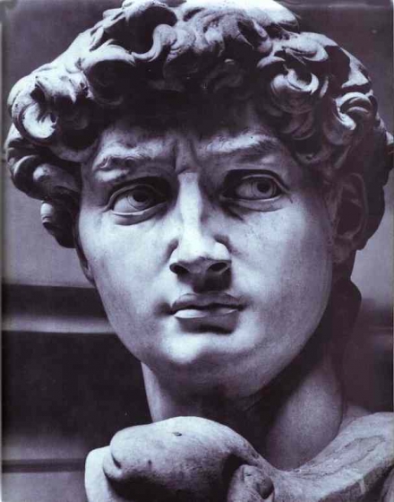 Michelangelo’s David (1501-04) - Image Gallery