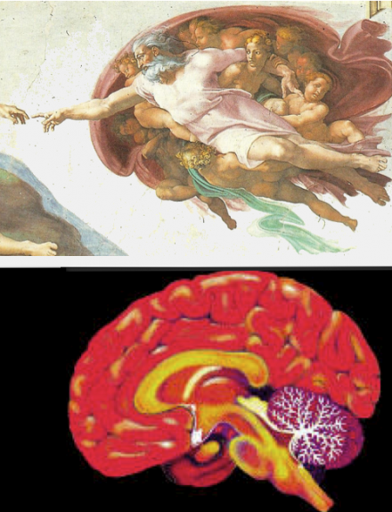 Quick Guide to the Sistine Chapel - Image Gallery