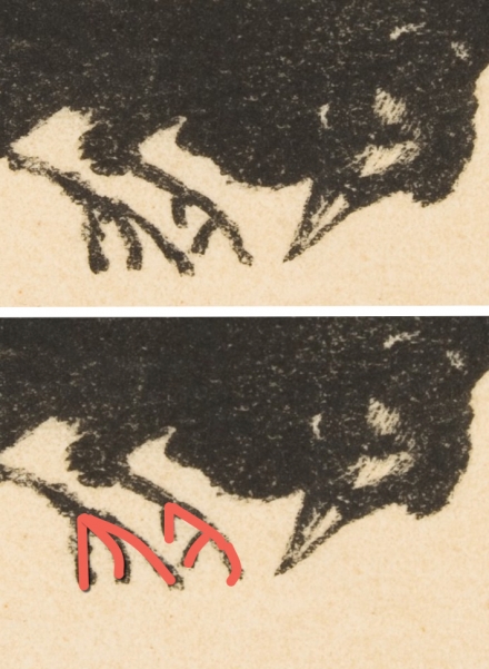 Manet’s Flying Raven (1875) - Image Gallery