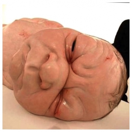 Mueck’s A Girl (2006) - Image Gallery
