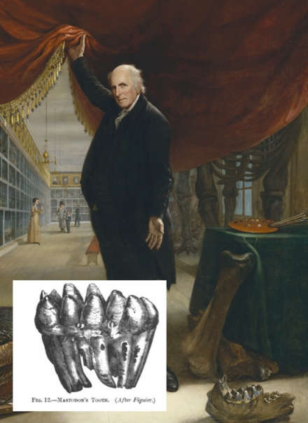 Peale’s The Artist in His Museum (1822) - Image Gallery