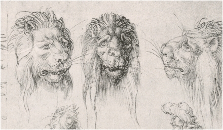 Dürer’s Rape of Europa and Other Studies (1494-5) - Image Gallery