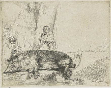 Rembrandt’s The Hog (1643) - Image Gallery