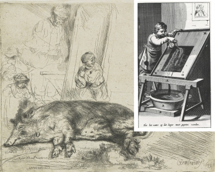 Rembrandt’s The Hog (1643) - Image Gallery