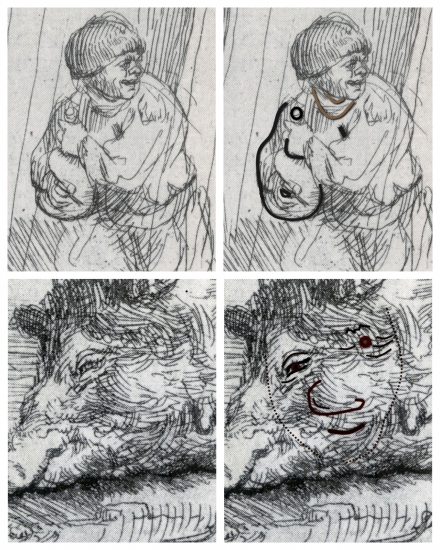 Rembrandt’s The Hog (1643) - Image Gallery