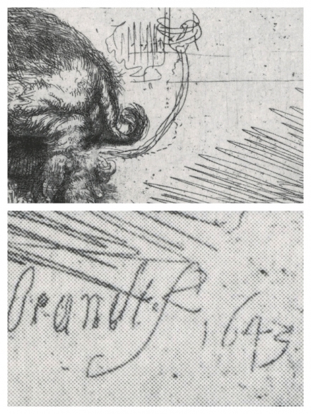 Rembrandt’s The Hog (1643) - Image Gallery