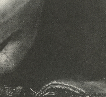 Dürer’s Self-portrait as Christ (1500) - Image Gallery