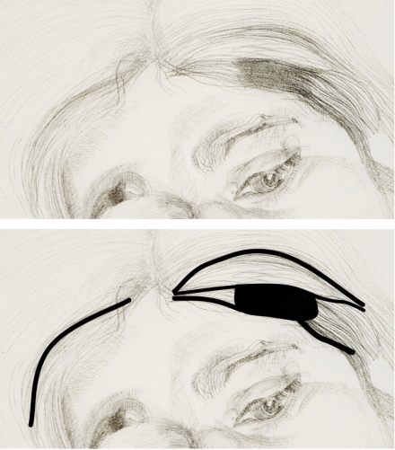 Lucian Freud’s Annabel (1975) - Image Gallery