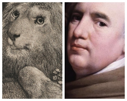 Stubbs’ A Lion (1788) - Image Gallery