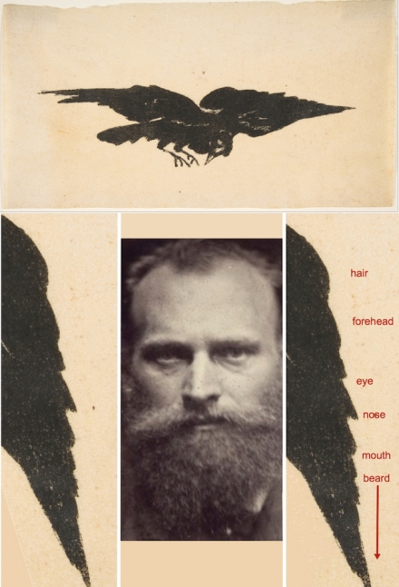 Manet’s Flying Raven (1875) - Image Gallery