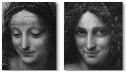 Leonardo’s Faces - Image Gallery