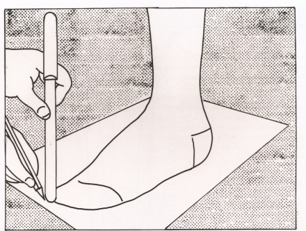 Lichtenstein’s Mail-Order Foot (1961) - Image Gallery