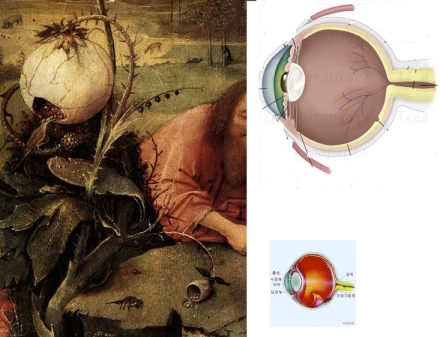 Bosch’s St. John in the Wilderness (1504-5) - Image Gallery