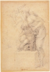  – Image Gallery