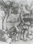  – Image Gallery