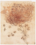 – Image Gallery