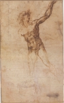  – Image Gallery