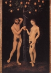  – Image Gallery