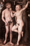  – Image Gallery