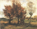  – Image Gallery