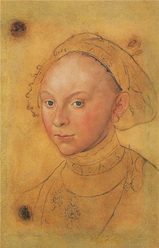 – Image Gallery