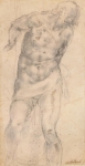  – Image Gallery