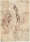  – Image Gallery