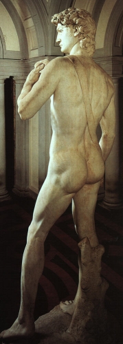 – Image Gallery