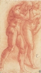  – Image Gallery