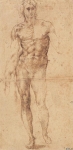  – Image Gallery