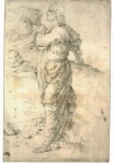  – Image Gallery