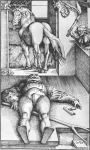  – Image Gallery