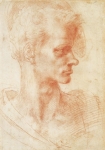  – Image Gallery