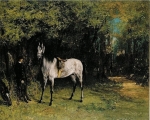  – Image Gallery