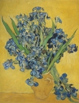  – Image Gallery