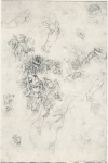  – Image Gallery