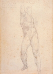  – Image Gallery