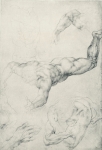  – Image Gallery