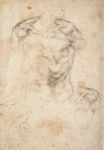  – Image Gallery