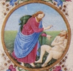  – Image Gallery