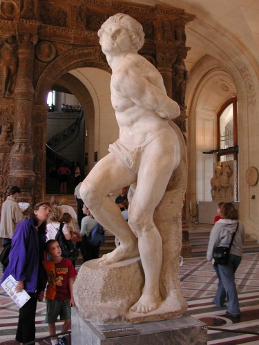 – Image Gallery