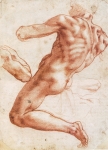  – Image Gallery