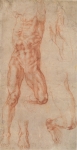  – Image Gallery