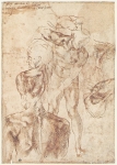  – Image Gallery