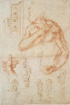  – Image Gallery