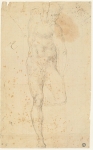  – Image Gallery